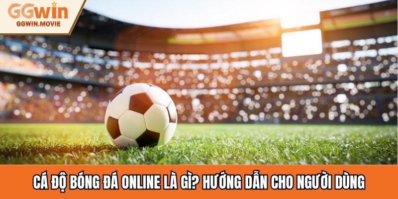 Cá Độ Bóng Đá Online