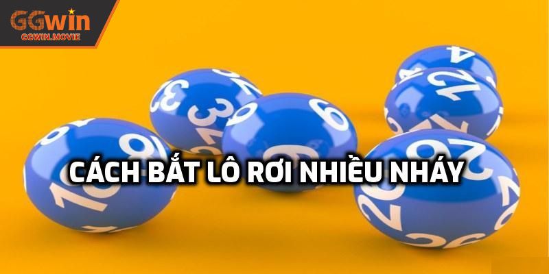 Các phương pháp bắt lô rơi chính xác từ chuyên gia