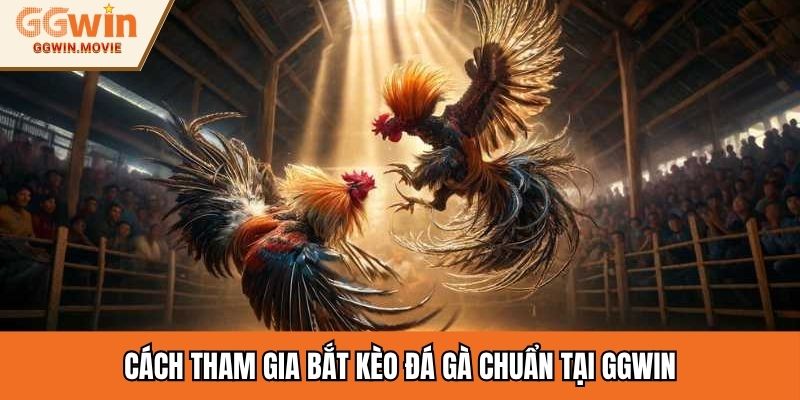 Cách tham gia bắt kèo đá gà chuẩn tại GGWIN