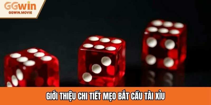 Giới thiệu chi tiết mẹo bắt cầu tài xỉu