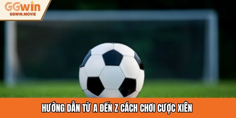 Hướng dẫn từ A đến Z cách chơi cược xiên 