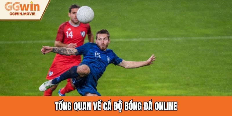 Tổng quan về cá độ bóng đá online