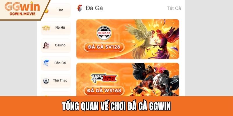Tổng quan về chơi đá gà GGWIN